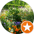 Blooming garden with diverse flowers
